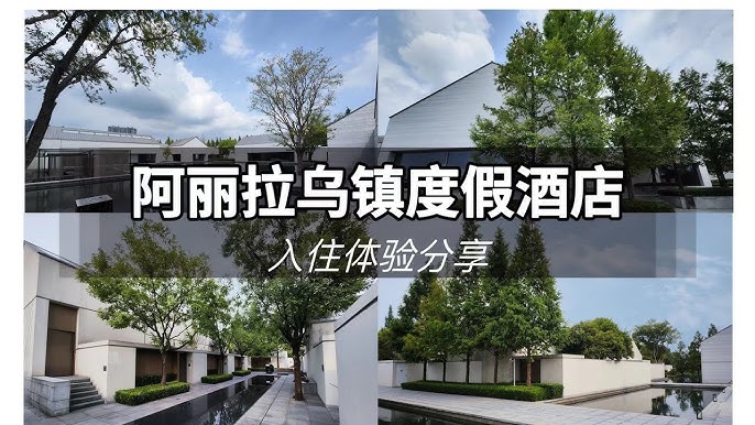 ZT大酒店体验分享