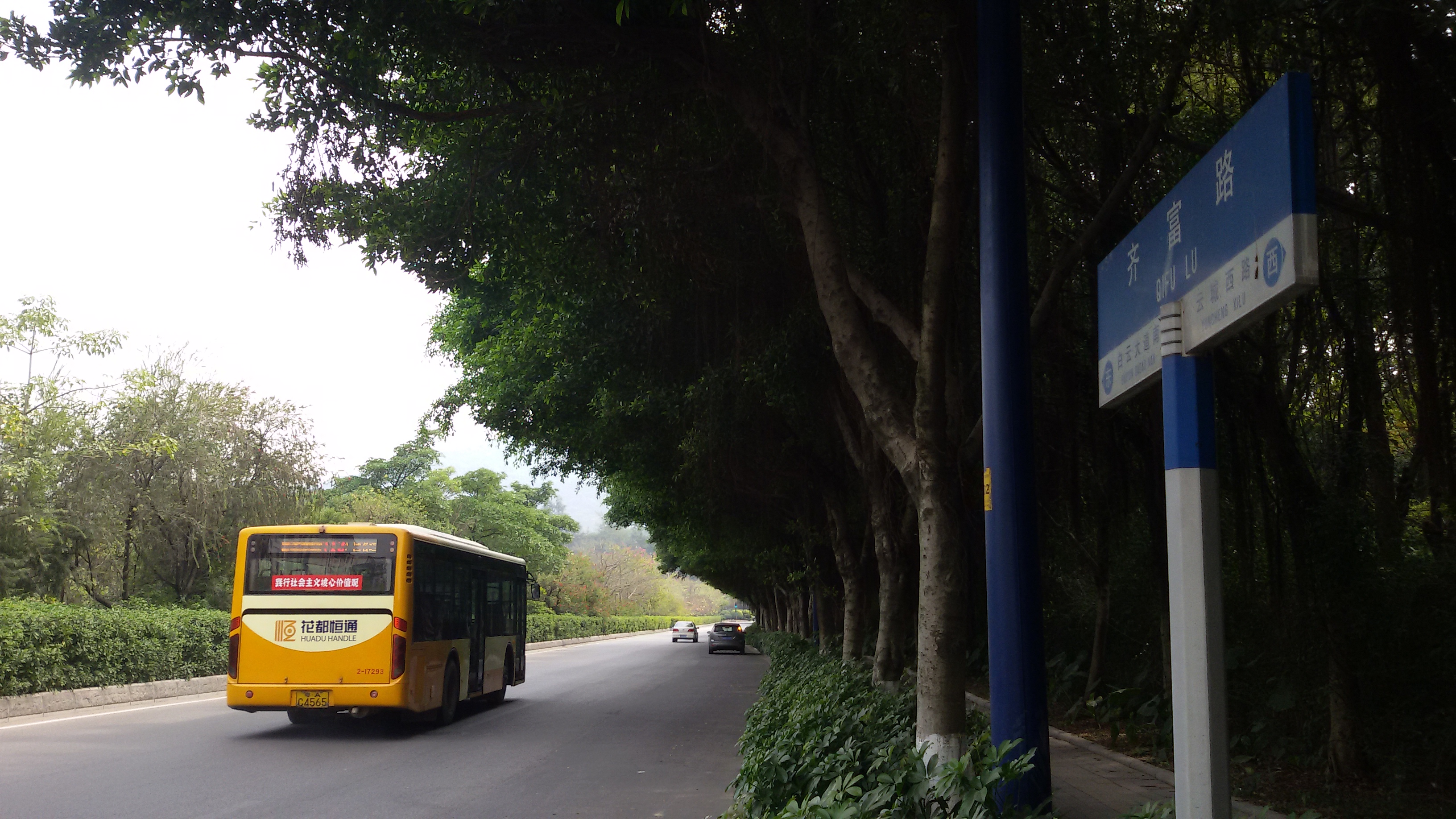 广州齐富路TC