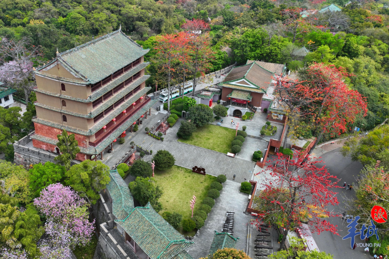 越秀军山颜值场良心实测